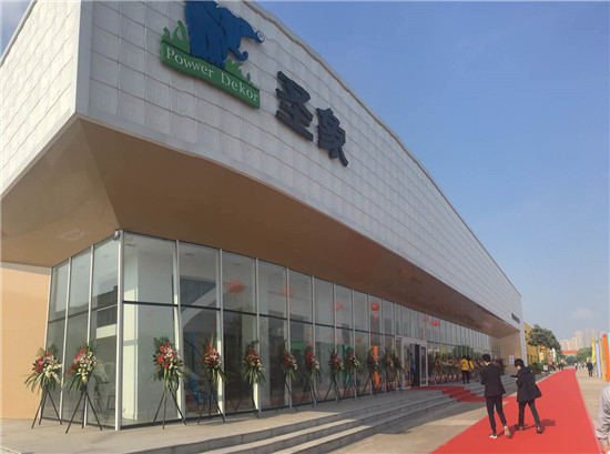 胜天国际