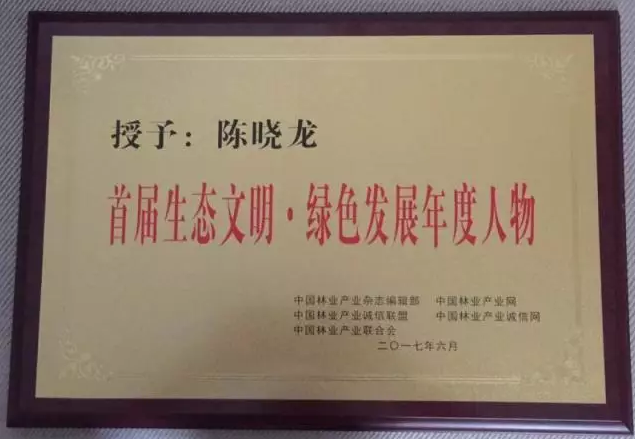 胜天国际