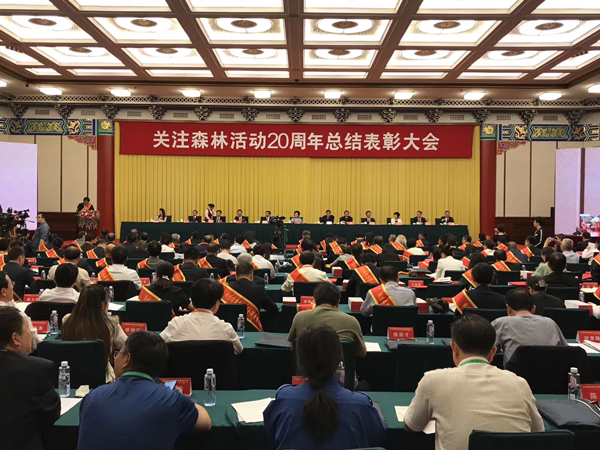 胜天国际